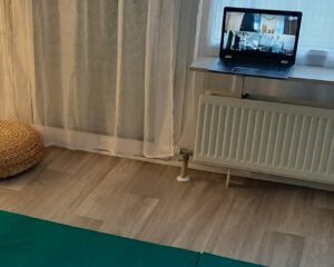 Training im Online-Dojo.
